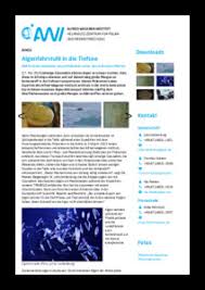 Some metal detectors are better suited to fresh water while others are designed for salt water. Items Where Year Is 2018 Epic