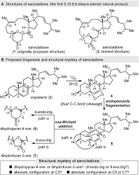 Disco was built by supervisors, for supervisors. Biogenesis Guided Synthesis And Structural Revision Of Sarocladione Enabled By Ruthenium Catalyzed Endoperoxide Fragmentation Ning 2021 Angewandte Chemie International Edition Wiley Online Library