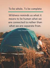 Here, you will find the things we love to do best read a book around a campfire: Have Fun Camping In 2021 6 Ways Unikeep