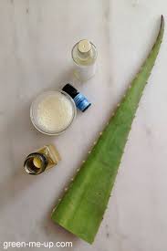 Masque Pour Cheveux Secs A L Aloe Vera Green Me Up Masque Cheveux Secs Cheveux Secs Masque Cheveux