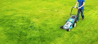 Promotes healthy root growth and a greener, stronger lawn. What Does A Lawn Care Service Include And How Much Does It Cost