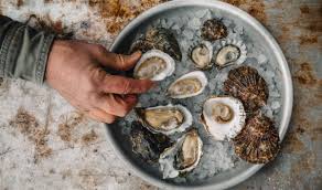 Amount of calories in oyster: Hog Island Oyster Co
