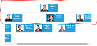 how to display only 1 item in c google org chart