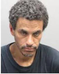 Police identify suspect in Surrey break and enter, sexual assault  investigation