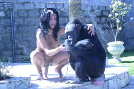 Monkey Porn - 43 photos
