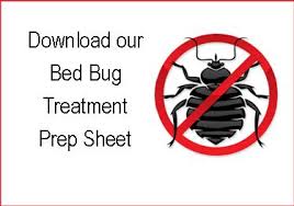 Can wheel bugs & kissing bugs bite you? Bed Bug Treatment Richmond Sugar Land Katy West Houston