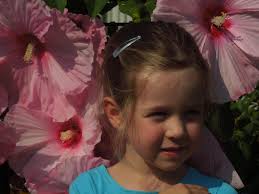 Has your hardy hibiscus started growing yet?