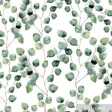 We did not find results for: Watercolor Green Floral Seamless Pattern With Eucalyptus Round Leaves Hand Painted Pattern With Branches And Leaves Of Silver Dollar Eucalyptus Isolated On White Background For Design Or Background Sheer Window Curtain