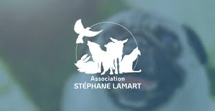 Check spelling or type a new query. Benevoles Dans Nos Refuges Association Stephane Lamart
