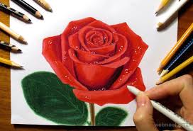 25 Beautiful Rose Drawings And Paintings For Your Inspiration Color Pencil Drawing Roses Drawing Rose Drawing How to draw + color a rose super easy realistic. color pencil drawing