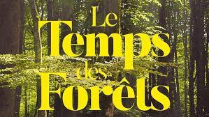 Symbole aux yeux des urbains d'une nature authentique, la forêt française vit une phase d'industrialisation sans précédent. Un Retour Vers Le Film Anti Forestier Le Temps Des Forets Cosylva Cooperative Forestiere De L Aude