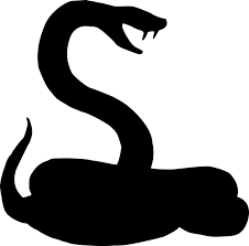Gambar hewan hitam putih untuk mewarnai koleksi gambar. Bayangan Hitam Ular Reptil Gambar Vektor Gratis Di Pixabay