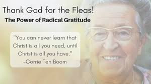 What does it mean to honor God in the midst of difficult circumstances?