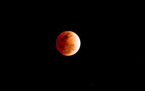 Built by trivia lovers for trivia lovers, this free online trivia game will test your ability to separate fact from fiction. During What Phase Of The Moon Can Trivia Questions Quizzclub