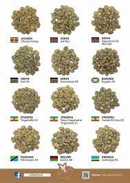 Cafe Kafee Kofe Kahvi Kopi Coffee Roasting Coffee Varieties Coffee Cafe