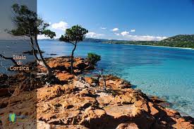Maybe you would like to learn more about one of these? Fonds D Ecran Corse