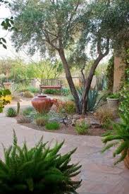 Arizona Courtyard Desert Landscape Design Ideas Pictures Remodel And Decor Page 7 Jardines Rusticos Decoraciones De Jardin Jardines