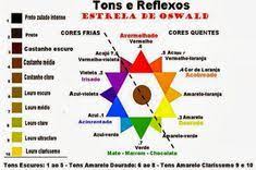Uma muito grande ocupa o ponto. 32 Ideias De Estrela De Oswald Da Colorometria Em 2021 Tabela De Cores Cabelo Colorimetria Cabelos Colorimetria Capilar