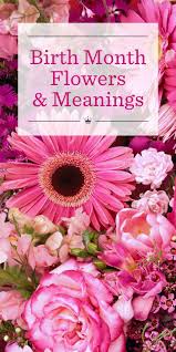 Birth Month Flower Grow Kit July Birth Flowers Meanings Birth Month Flowers Birthday Month Flowers Birth Flowers