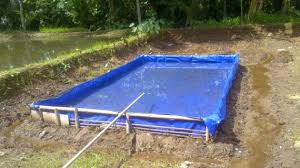 Pembuatan kolam untuk ikan koi ini hasil diskusi dengan sodara yang kebetulan seorang tukang ahli bangunan. 5 Cara Membuat Kolam Terpal Untuk Para Pemula Telp Wa 082216331010