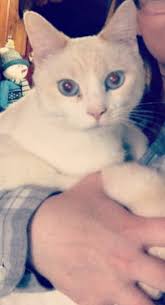 Sometimes, she likes to hide in her house.