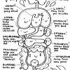 Digestive tract coloring page (elementary). 1