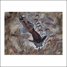 As exemplified in the last body of work, toledo's art draws on human, animal and mineral life and explores both indigenous, zapotec, and worldwide cultures. Francisco Toledo Inverarte Art Gallery