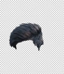 Black Hair Editing Picsart Studio Man Hair Tail Feather Hair Png Klipartz Hair cartoon png is about is about hair, editing, hairstyle, hair coloring, image editing. black hair editing picsart studio man