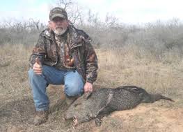 Deer hunting is the most popular type of hunting in the state of texas. South Texas Hog And Javalina Hunts South Texas Hog Hunting Hog Hunting Ranch Texas Brent Hopkins