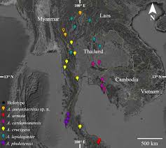 Species New to Science: [Herpetology • 2020] Acanthosaura aurantiacrista  กิ้งก่าเขาหนามสีส้ม • A New Long Horn Lizard (Squamata: Agamidae) from  northern Thailand