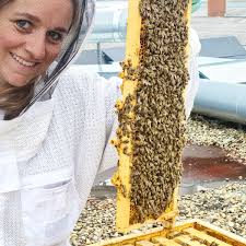 BEE-life • Bienen in Ihrem Unternehmen