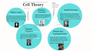 Cell theory is one of the basic principles of biology. Cell Theory By Eva Rivera On Prezi Next