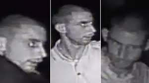 Horse sex man from Norfolk jailed for 14 months