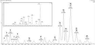 Image result for Polygala sadebeckiana