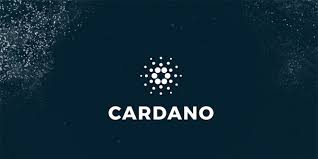 The latest tweets from @cardanocom Is Cardano The Ethereum Killer Hacker Noon