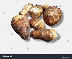 19 Mukhi Kochu Images, Stock Photos, and Vectors | Shutterstock