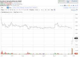 Check spelling or type a new query. Northern Dynasty Minerals Is An Inexpensive Stock That Is A Political Bet A Huge Decline On August 24 Nyse Nak Seeking Alpha