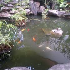 Cyberjaya holiday rentals cyberjaya packages flights to cyberjaya cyberjaya restaurants cyberjaya attractions cyberjaya. The Street Mall Persiaran Multimedia