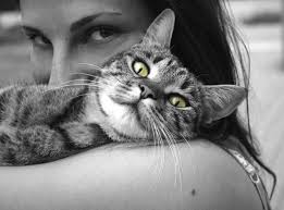 Send us photos of your pets! Love Your Pet Day Holiday Checkiday Com