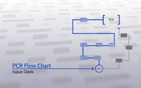 Pcr Flow Chart By Kalsie Davis On Prezi