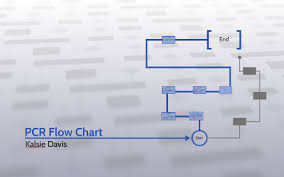 pcr flow chart by kalsie davis on prezi