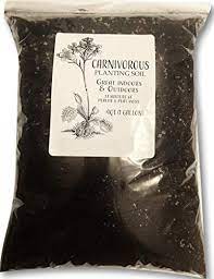 Carnivorous Plant Soil Mix One Gallon Xl Bag All Natura Https Www Amazon Com Dp B07hnd4c1h Ref Cm Sw R Pi D Carnivorous Plants Pitcher Plant Carnivorous