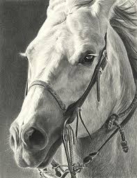 Going For It By Mary Ross Buchholz Graphite Charcoal 11 X 8 5 Horse Artwork Horse Painting Horse Art Drawing