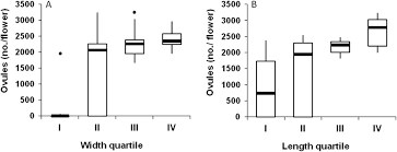 Check spelling or type a new query. Flower Position And Size Impact Ovule Number Per Flower Fruitset And Fruit Size In Pomegranate In Journal Of The American Society For Horticultural Science Volume 138 Issue 3 2013