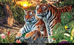 Make sure you have the latest browser updates in order to take advantage of all that picmonkey has to offer. How Many Tigers Can You See In This Pic Amitabh Bachchan Answers