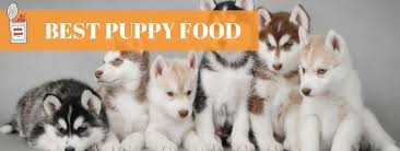 20 Best Puppy Foods 2019 15 Dry And 5 Wet Options Animalso