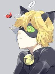 Pin On Miraculous Ladybug