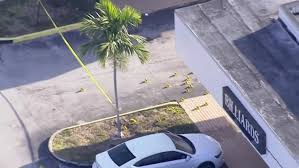 Two people have been killed and more than 20 wounded in a mass shooting outside a banquet hall in miami. Sfvlrrf7aqcfqm