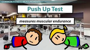 What Is Fitness Definition Components Types Examples