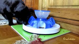 1934 cat food bowl 3d models. Cat Activity Tunnel Feeder Puzzle Katze Beschaftigung Futter Automat Futterautomat 1st Test Trixie Youtube